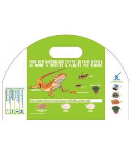 MENU BIG NAC - Lézard