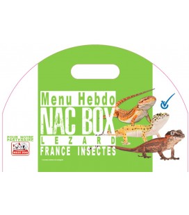 MENU BIG NAC - Lézard