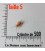 vente de grillons domestiques vivants pour reptile taille 5 moyen par 500