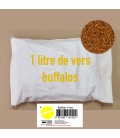 MINI VERS DE FARINE
