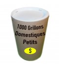 Tube de 1000 grillon Domestique Petit (T. 3)
