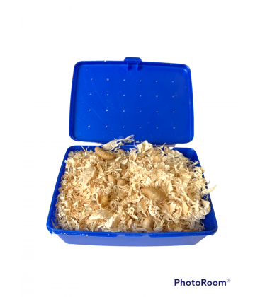 Teigne de peche made in france 40gr