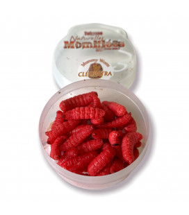 Teignes Momifiées Rouges
