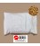 vers de farine insectes pour oiseaux insectivore et insectes pour reptiles