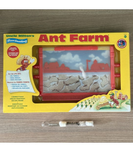 Ant Farm Fourmilière et sa Colonie de Messor Barbarus