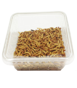 Boite Vers de farine 50gr