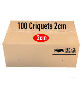 Criquets 2 cm carton de 100