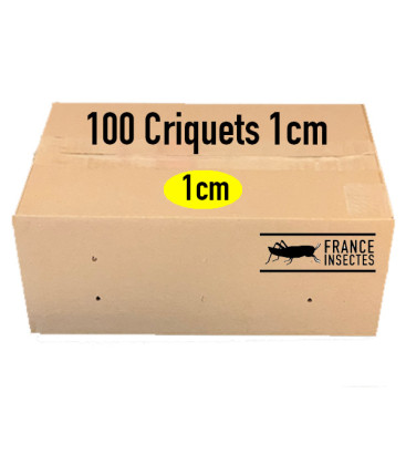 Criquets 1 cm carton de 100