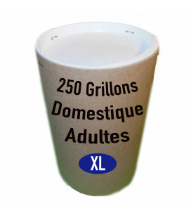 Photo du tube de 250 grillons domestiques adultes T8