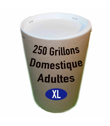Photo du tube de 250 grillons domestiques adultes T8