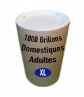 Acheter des grillons domestiques adultes taille 8 en boîte de 1000 sur insectes.websolutis.com