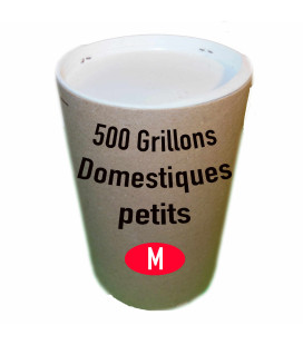 Tube de 500 grillonS DOmestiqueS PetitS (T. 5)