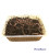 Dendrobenas Barquette de 250gr