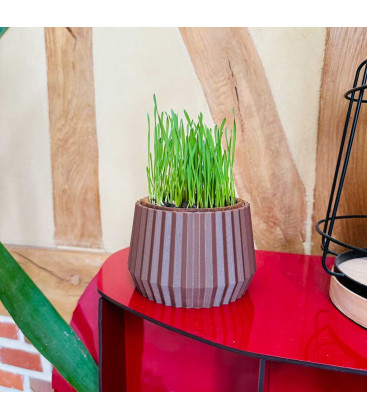 Pot Design à base de Liège Imprimé en 3D pour pot d'herbe à chat (Made In france)
