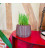 Pot Design à base de Liège Imprimé en 3D pour pot d'herbe à chat (Made In france)