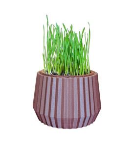 Pot Design à base de Liège Imprimé en 3D pour pot d'herbe à chat (Made In france)