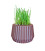 Pot Design à base de Liège Imprimé en 3D pour pot d'herbe à chat (Made In france)