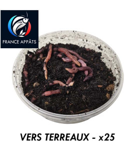 Boite de 25 Vers de Terreaux - Appât de pêche de qualité supérieure - France-Insectes.com