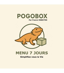 POGO BOX - 7 jours de Menu Complet pour Pogona Adulte
