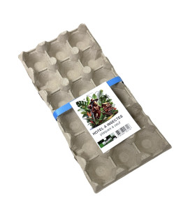 plaque à oeuf habitat pour insectes pour élevage et maintien