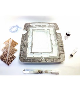 pack essentiel ants garden messor barbarus