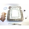 pack essentiel ants garden messor barbarus