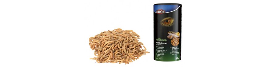 NOURRITURE SECHE POUR REPTILES