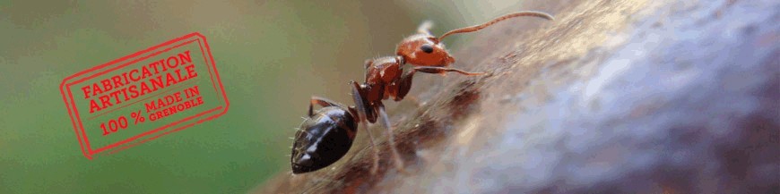 FOURMIS