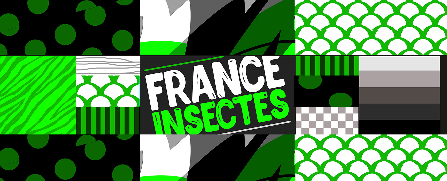 FRANCE INSECTES
